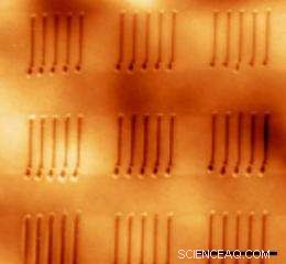 Direct Fabrication of Ferroelectric Nanostructures on Plastic Using a Heated AFM Tip