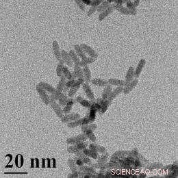 Cadmium Selenide Quantum Dots Break Down in Soil, Releasing Toxic Elements