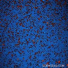 Soft Spheres Arrange into Unexpectedly Structured Packings