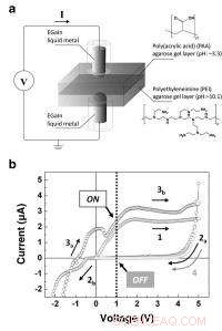 Soft-Matter Memristors: Paving the Way for Biocompatible Electronics and Flexible Robots