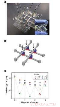 Soft-Matter Memristors: Paving the Way for Biocompatible Electronics and Flexible Robots
