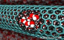 How Disorder Unlocks the Secrets of Carbon Nanotubes