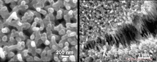 Revolutionizing Energy Storage: Rice University’s Nano Bundle Supercapacitors