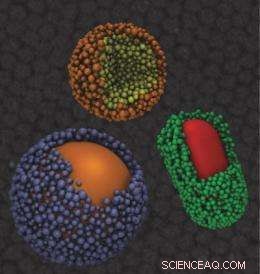 Engineers Unveil Nanoscopic Balancing Mechanism Mimicking Biological Forces