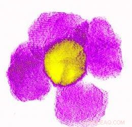 Revolutionary Magnetic Nanoparticle Purification System Enhances Drug Delivery and Imaging