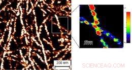 NPL Scientists Achieve Breakthrough in Organic Solar Cell Metrology