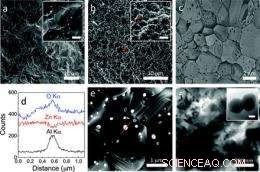 Engineers Use Microwave Oven to Produce Advanced Heat‑Harvesting Nanomaterials