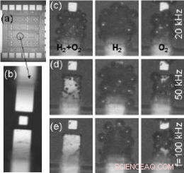 Uncovering Spontaneous Combustion in Nanobubbles During Electrolysis