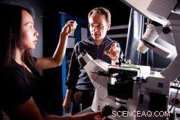 Harnessing Magnetism to Remotely Control Brain Activity: A New Frontier