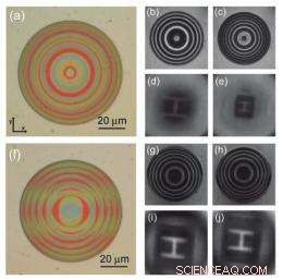 Reconfigurable Nanowire Lenses: Transforming Imaging Capabilities on Demand