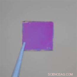 Colored Solar Cells Promise Higher Efficiency for Display Screens