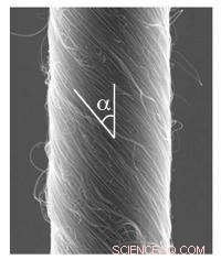Revolutionary Carbon Nanotube Muscles Deliver Powerful Twisting for Next‑Gen Motors