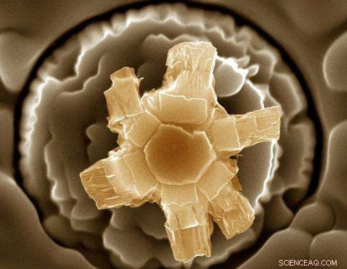 Discovering the Hidden Beauty of the Nano-Cosmos