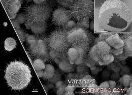 Bristly Copper Nanowires: A Game-Changer for Power Plant Efficiency