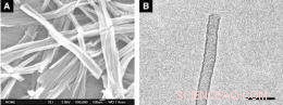 Scientists Engineer Dual-Segmented Nanotubes with Distinct Semiconducting Domains