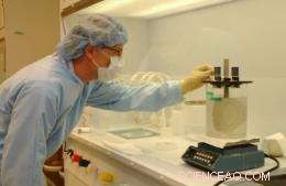 Harnessing Bacterial Communication for Next‑Generation Nanoscale Networks