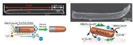 Tiny Battery Doubles as a Nanomotor: Unlocking Micro‑Scale Motion