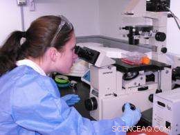 Targeting Brain Cancer: Nanoparticle Strategies to Attack Cancer Cells