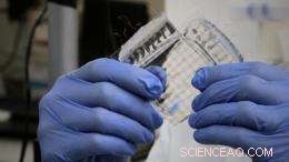 Stanford Researchers Develop Transparent, Ultra-Stretchable Skin‑Like Sensor