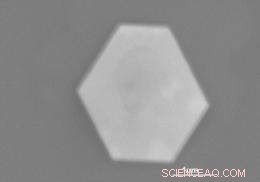 Harnessing Nature s Design to Engineer Superior Nanomaterials