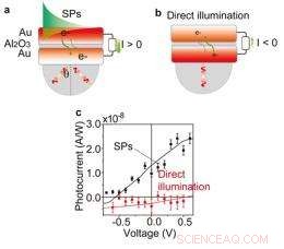 Plasmonic Device Harnesses Light to Generate Electricity