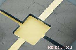 Cornell Researchers Explore Graphene’s Emerging Future