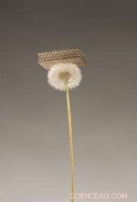 World’s Lightest Material Achieved by UC Irvine, HRL Labs & Caltech