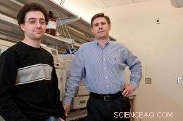 Rice University Chemists Load Over 2 Million Nanorods Into a Single Cancer Cell