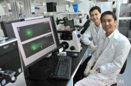 New Research Investigates Potential Cancer Link to Everyday Consumer Chemical