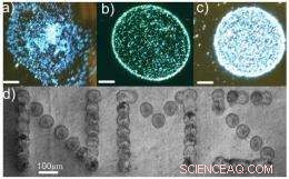 Revolutionary Graphene Ink Enables Precise Ink‑Jet Printing of Electronic Components