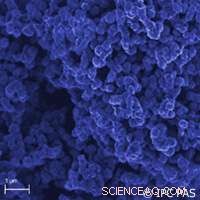 Carbon Nanoparticles: A New Frontier in Parkinson’s Disease Treatment