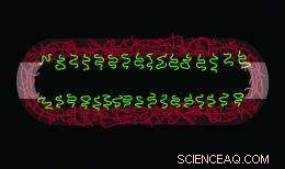 Buffalo Chemists Craft Nanotube Traps to Capture Charged Particles