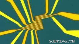 EPFL Engineers Develop First Molybdenite Microchip, Surpassing Silicon Limits