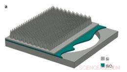 Revolutionary Nanowire Crystal Array Biosensor Offers Rapid, Cost‑Effective Disease Marker Detection