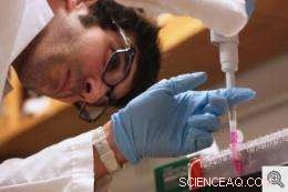 Nanotech Single-Cell Monitoring Reveals New Insights into Cancer Metastasis