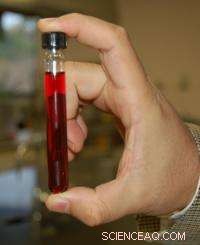 Innovative Dye Boosts Solar Cell Efficiency, Promises Greener Energy