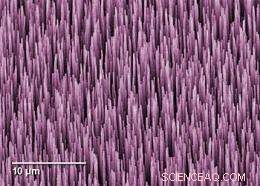 NIST Prototype Radiometer Achieves Nanowatt-Scale Fiber Optical Power Measurement