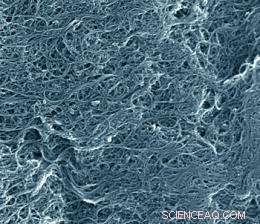 NIST Launches First Certified Reference Material for Single-Wall Carbon Nanotubes