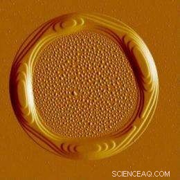 Step-by-Step Guide: Crafting Doughnut Shapes with LEGO® Blocks