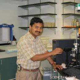 UCF s Quantum Dot Nanotech Accelerates Drug Testing