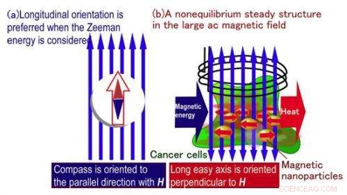 Revealing the Heat Generation Mechanism in Magnetic Nanoparticle Hyperthermia for Cancer Treatment