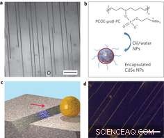 Innovative Rolling Microcapsules Offer Self‑Repair for Microscopic Surface Defects