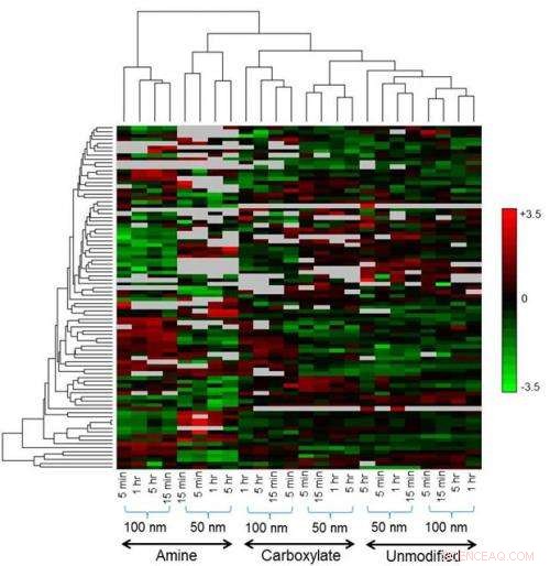 Nanoparticle Proteomics: Unveiling Protein-Nanoparticle Interactions in Biofluids