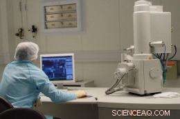 Graphene Demonstrates Magnetic Properties, Opening New Avenues