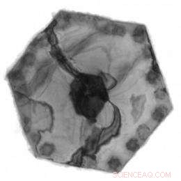 Rapid Microwave-Processing of Nanomaterials for Next-Generation Refrigerant-Free Air Conditioners