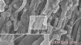 Integrating Electronics into Everyday Materials: Unlocking New Possibilities