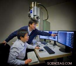 Unveiling Protein Architecture: 3D Imaging via Electron Microscopy