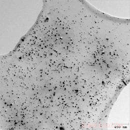 Salmon DNA-Based Electronic Sandwich Drives Affordable DNA Memory Innovation