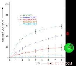 Polymersome Nanovesicles Mimic Cellular Architecture in a Russian-Doll Design