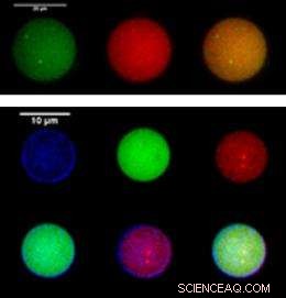 Polymersome Nanovesicles Mimic Cellular Architecture in a Russian-Doll Design